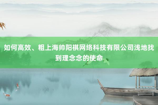 如何高效、粗上海帅阳祺网络科技有限公司浅地找到理念念的使命
